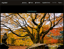Tablet Screenshot of anglebell.com